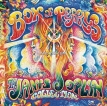 Janis Joplin – Box Of Pearls (1999) [iTunes Plus M4A]