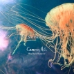 Cameron AG - Way Back Home - EP [iTunes Plus AAC]
