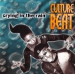 Culture Beat – Crying in the Rain (1996) [iTunes Plus M4A]